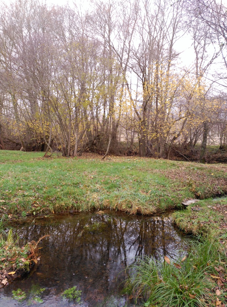 Isla del molino salida del caño