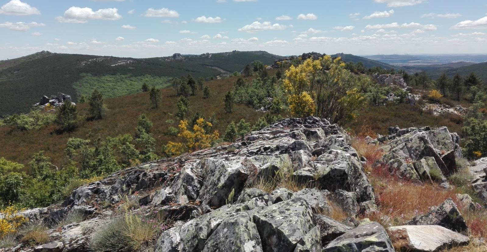 Sierra de la culebra paseo rocoso monte arbol encina pino abeto