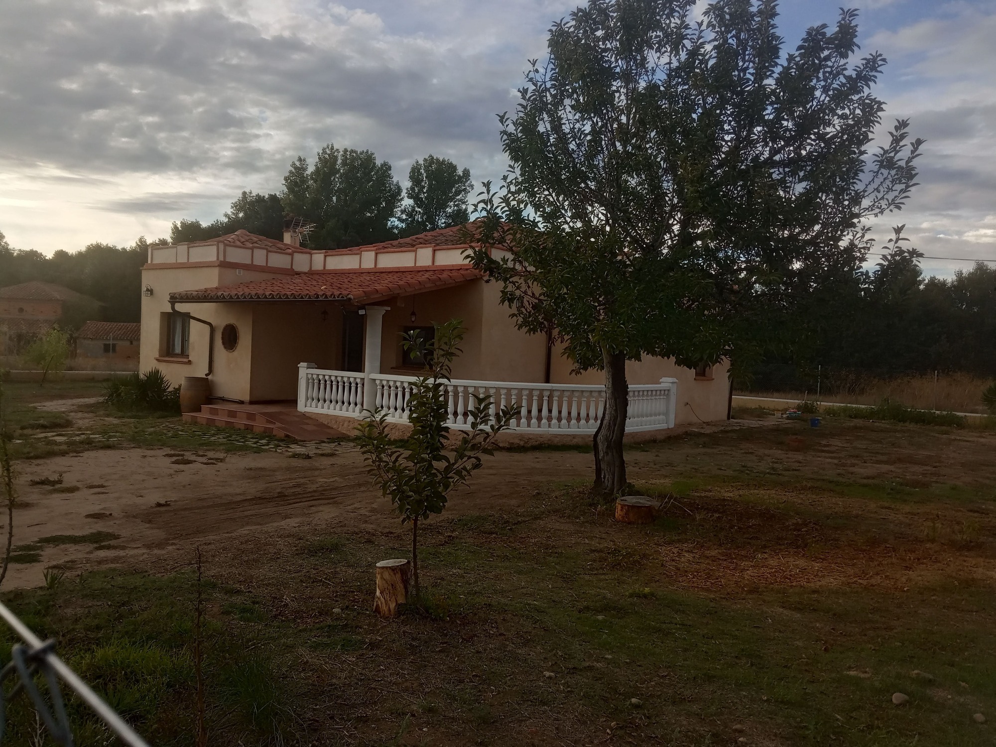 Frutal jardin terraza rampa barril