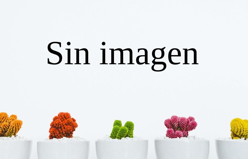 Sin imagen