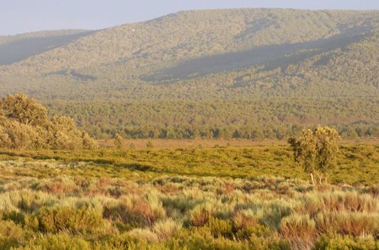 Sierra de la culebra