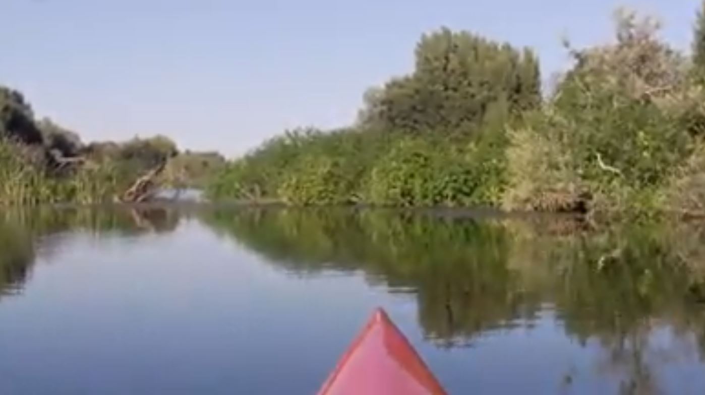 Paseo en kayak
